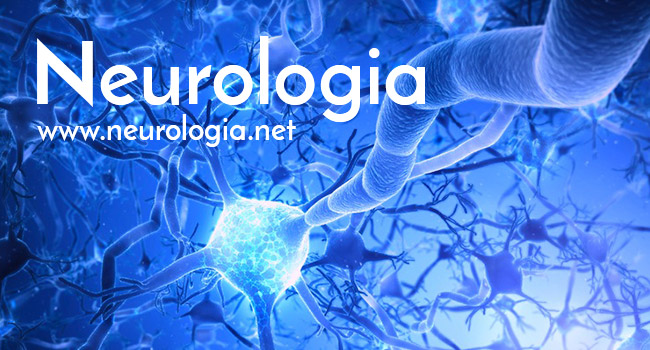 Risultati immagini per neurologia.net